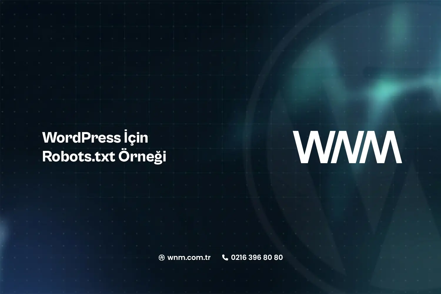 WordPress İçin Robots.txt Örneği