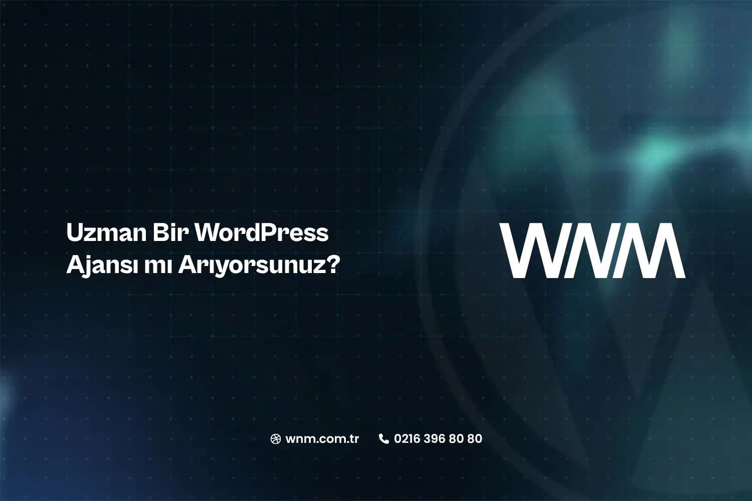 Uzman Bir WordPress Ajansı mı Arıyorsunuz?