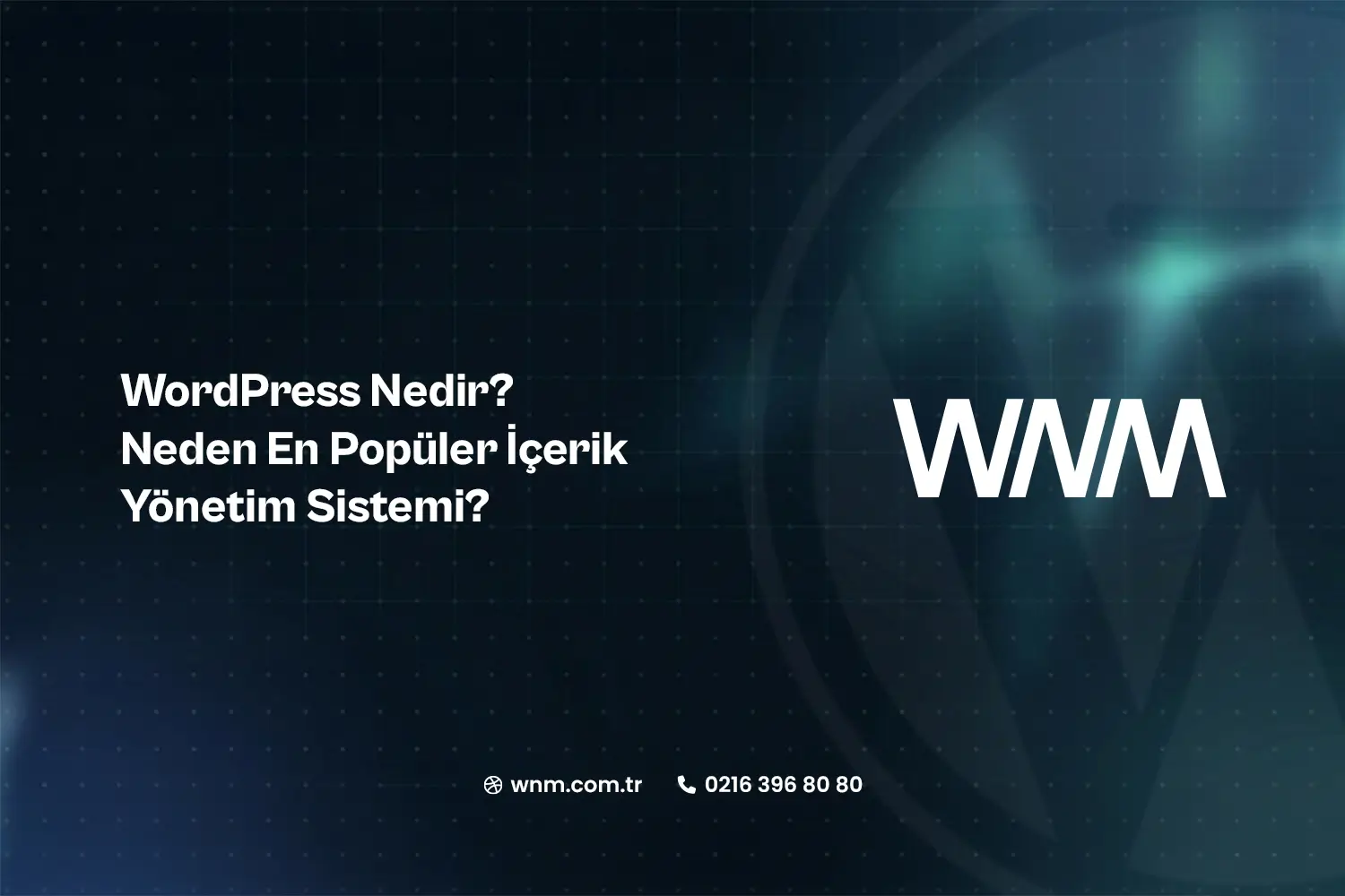 WordPress Nedir? Neden En Popüler İçerik Yönetim Sistemi?