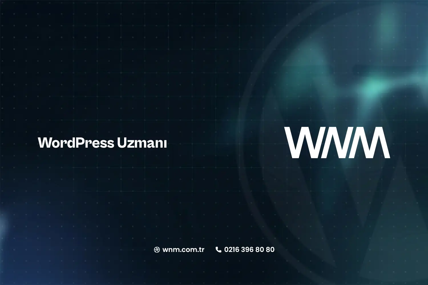 WordPress Uzmanı