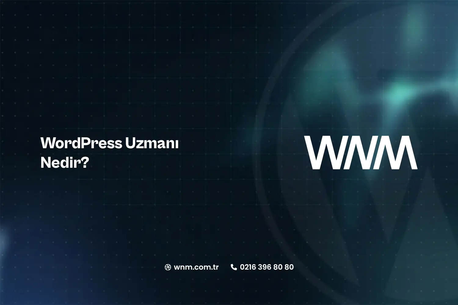 WordPress Uzmanı Nedir?