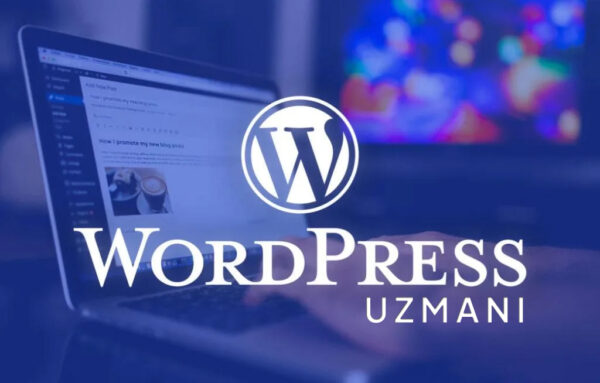 Dizüstü bilgisayar ekranında WordPress kontrol paneli ve "WordPress Ajansı" metni